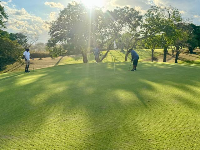 2026 Safari Dc Destination Golf photo 10